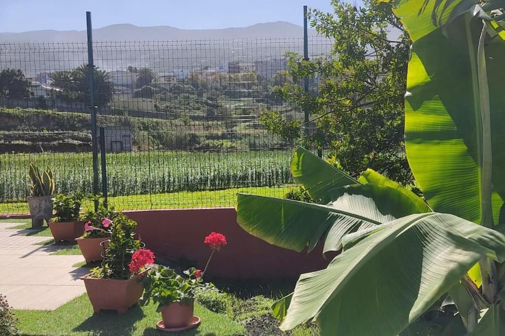 Casa Mamatina, En Los Realejos Dış mekan fotoğraf