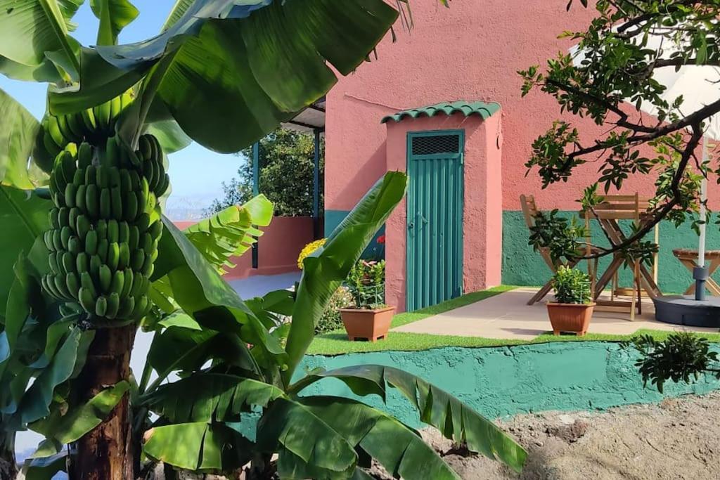 Casa Mamatina, En Los Realejos Dış mekan fotoğraf